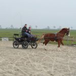 Training 03